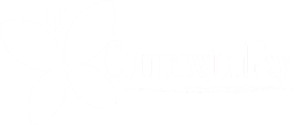 Logo bianco | CompassionPsy